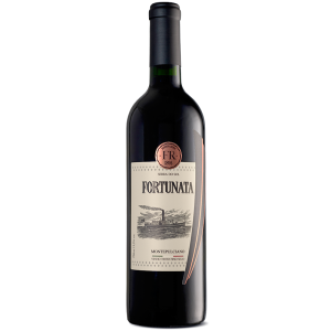 Vinho Tinto Fortunata Raggio - 750ML